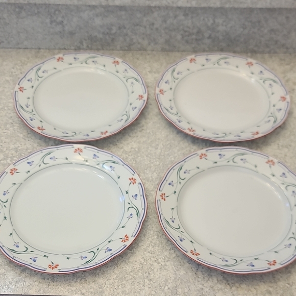 Floral Patterned Dinner Plates Set Of 4 - (4 Dinner 4 Salad) - Picture 2 of 10